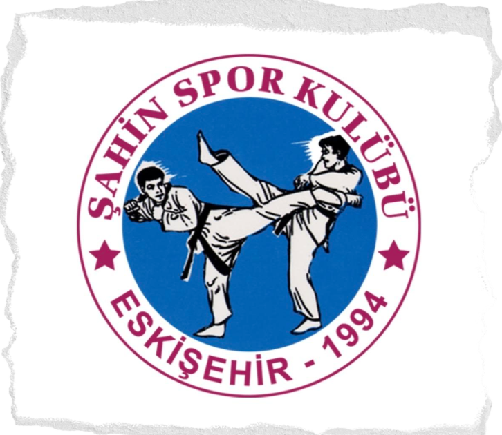 Sahinspor